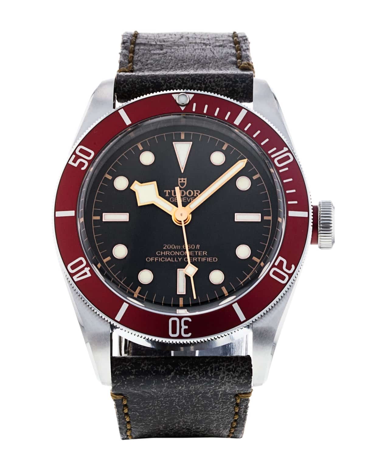 Tudor Black Bay M79230R-0011